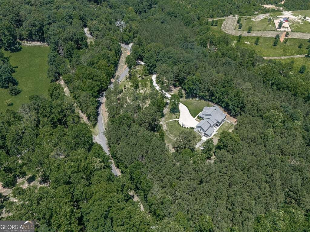 430 430 Cajun Drive Ellijay - 67