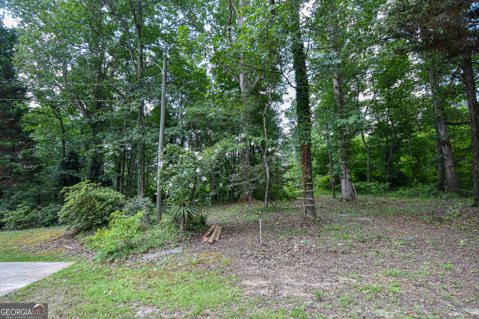 2654 New Hope Road Zebulon - 24