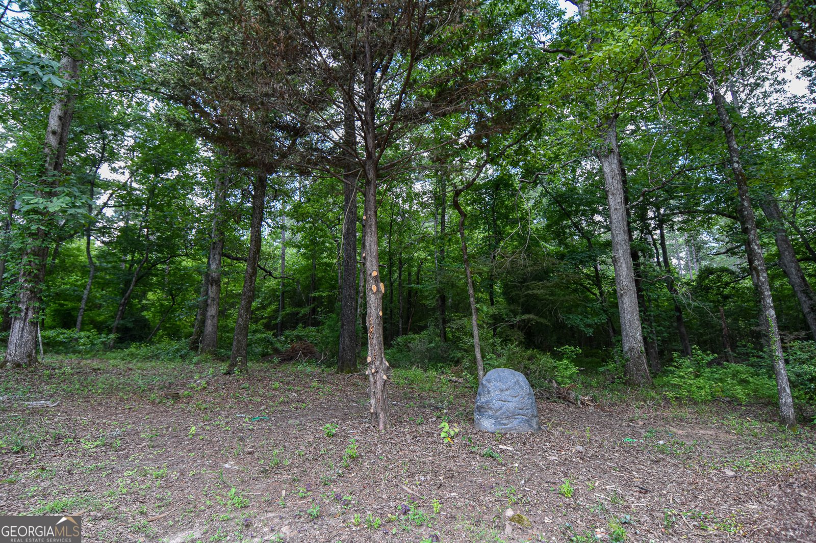 2654 New Hope Road Zebulon - 25