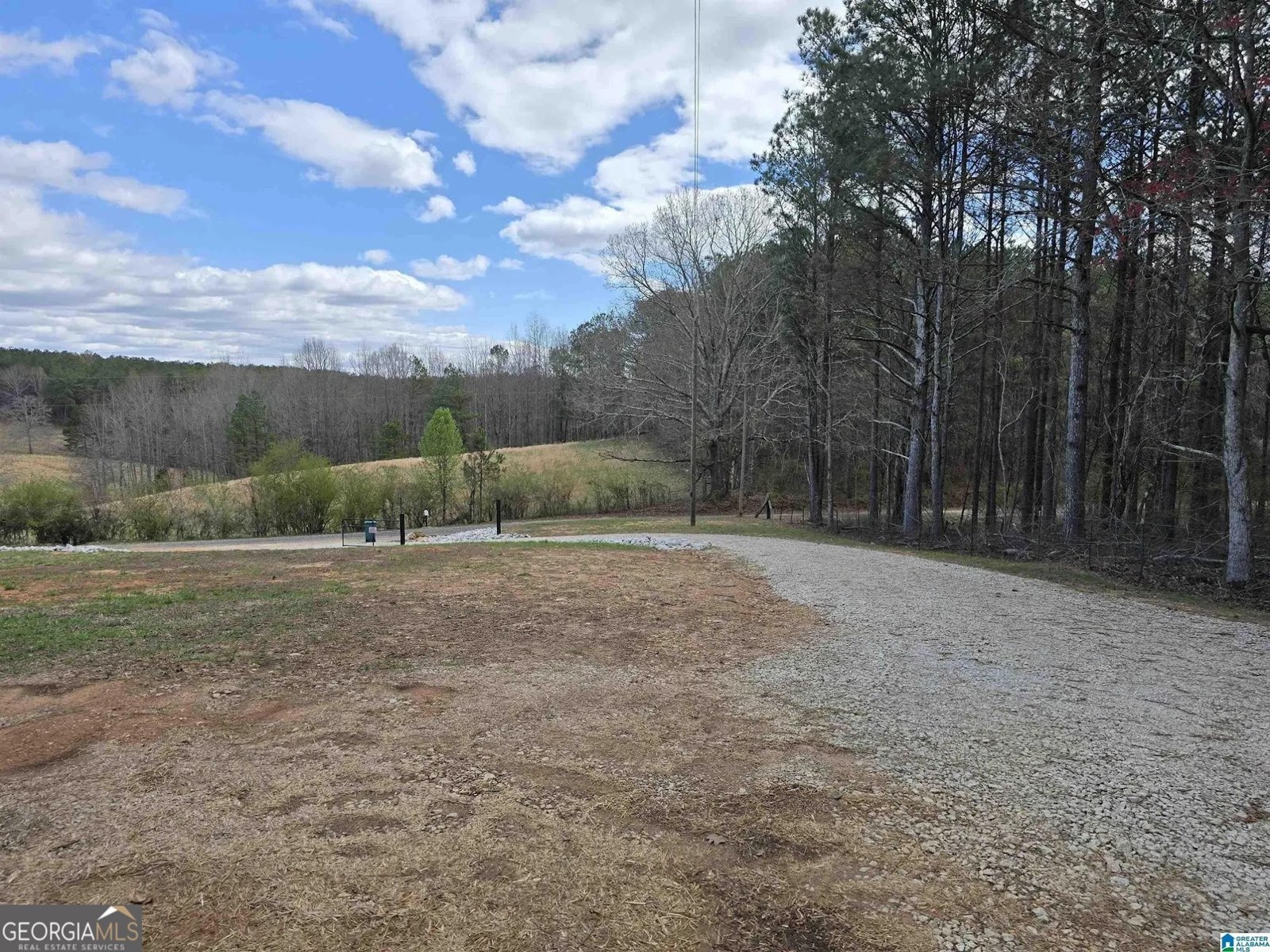 704 County Road 437 Heflin - 3