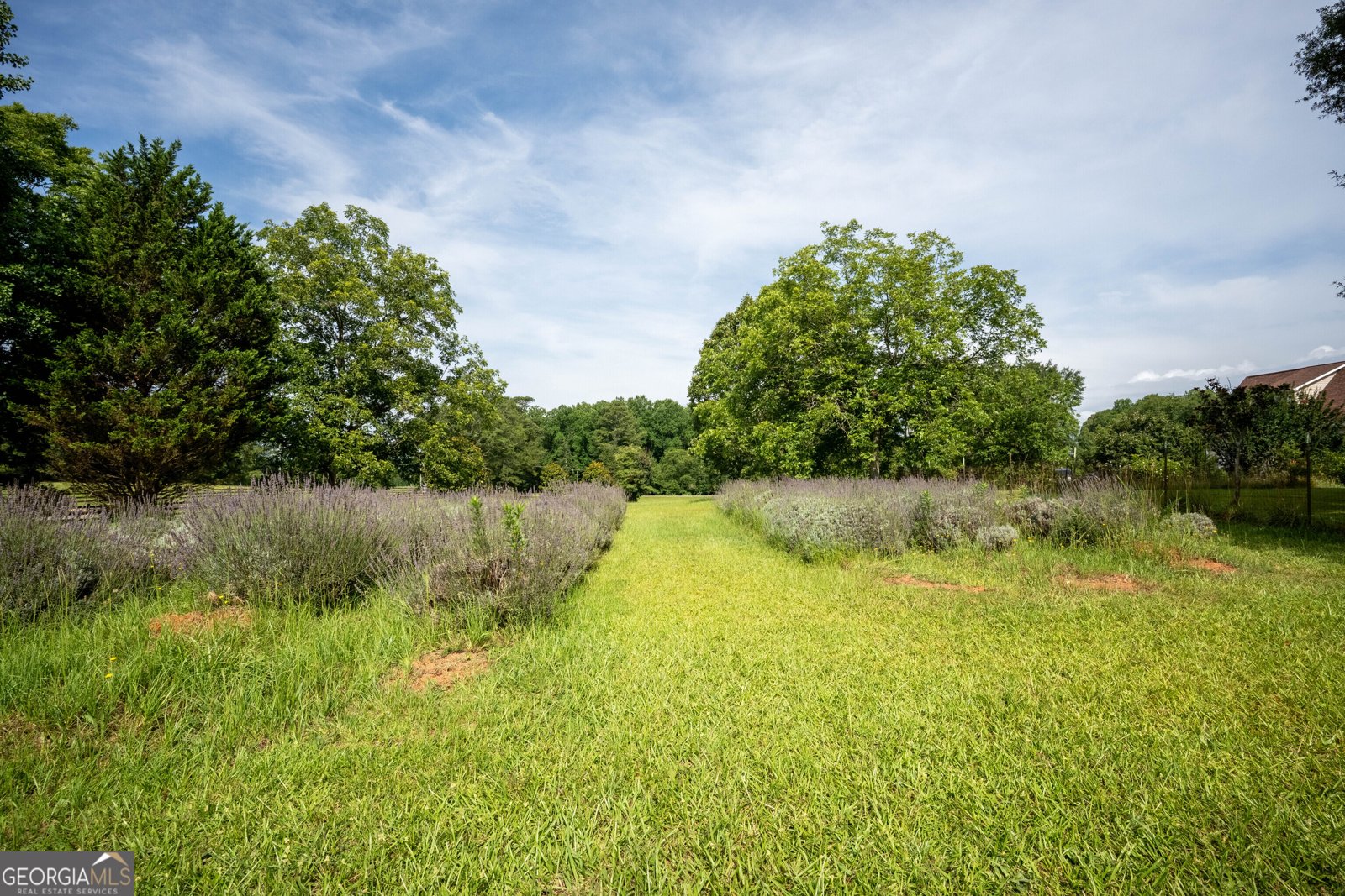 442 Buffalo Creek Road Carrollton - 56