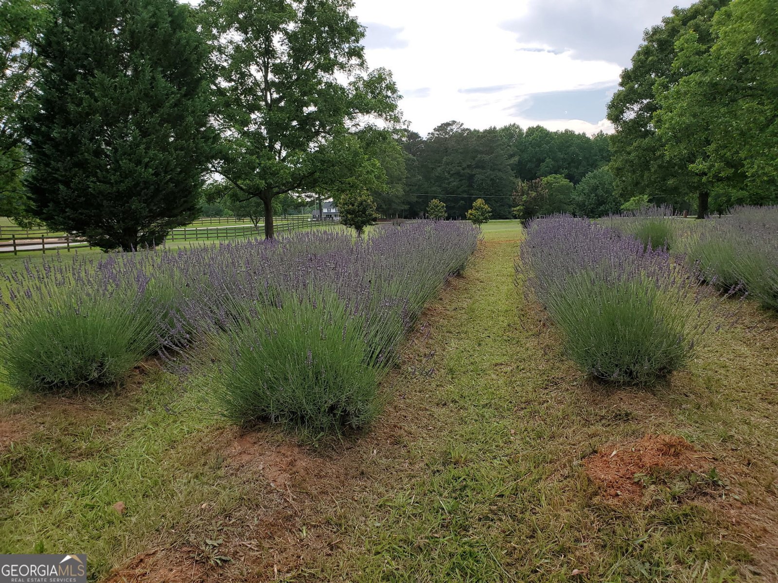 442 Buffalo Creek Road Carrollton - 66