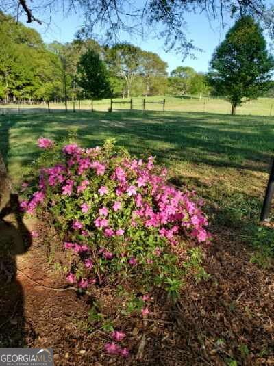 442 Buffalo Creek Road Carrollton - 70