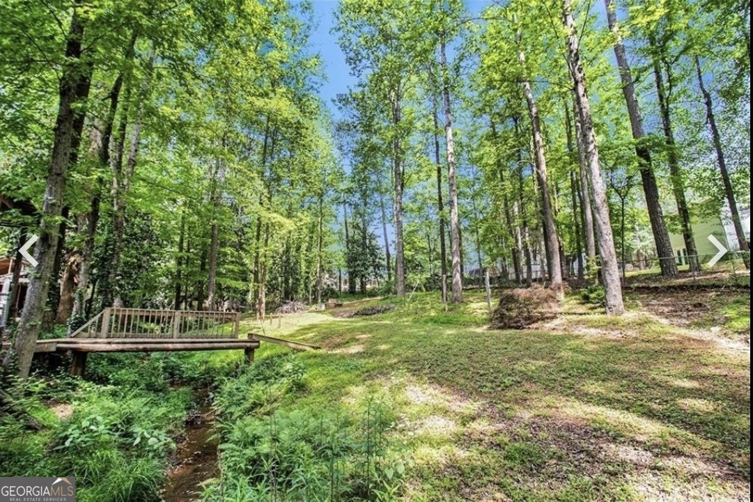 4352 Treeline Way Douglasville - 24