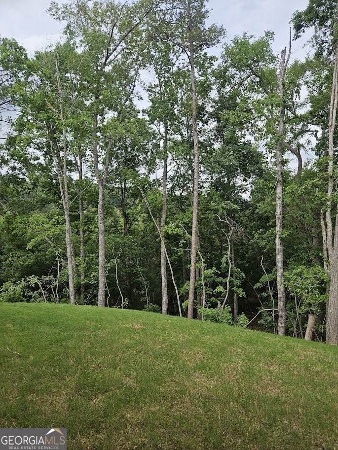195 Silvercrest Drive Acworth - 38