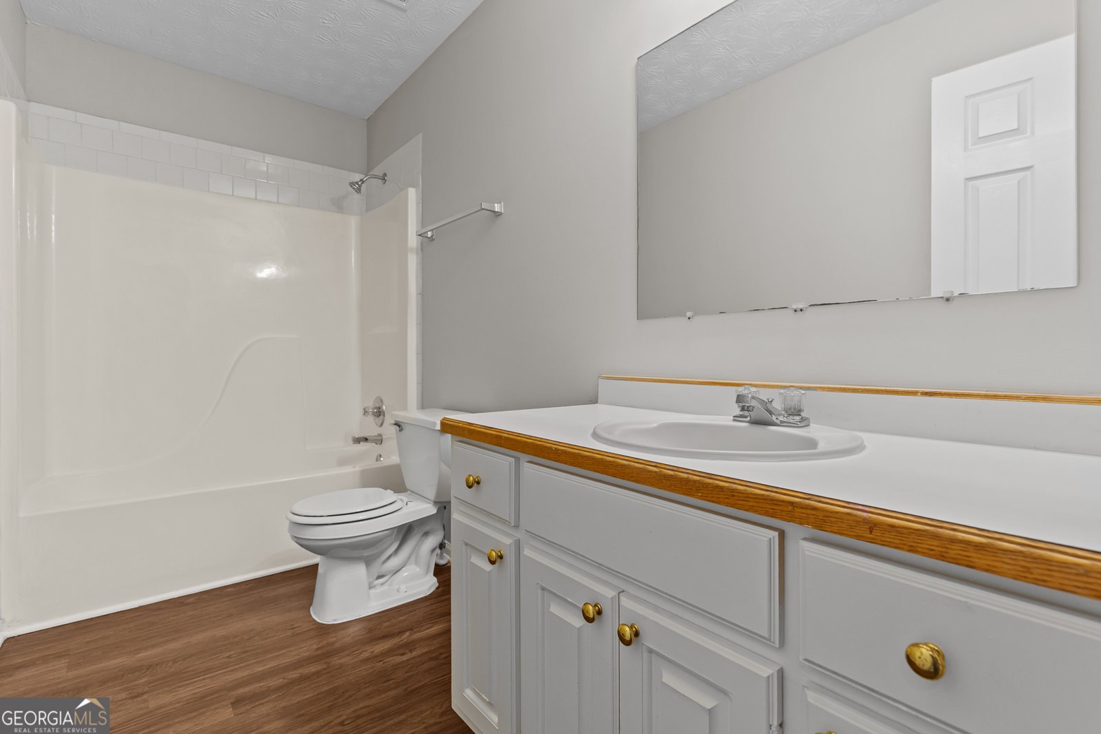 4189 Duncan Ives Drive Buford - 34