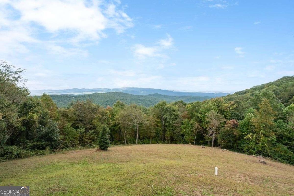 2159 MONUMENT Road Jasper - 27