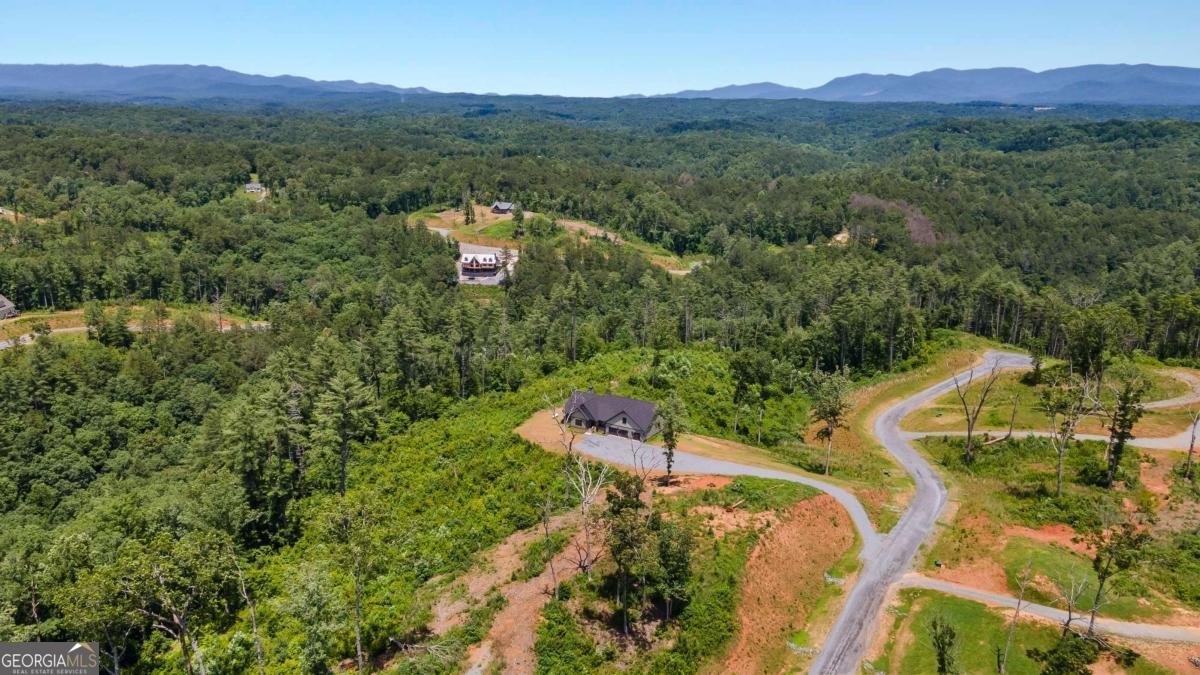 39 Mountaintown Overlook Ellijay - 36
