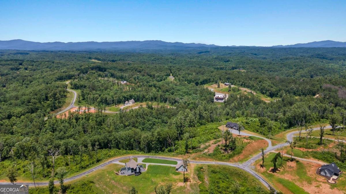 39 Mountaintown Overlook Ellijay - 37