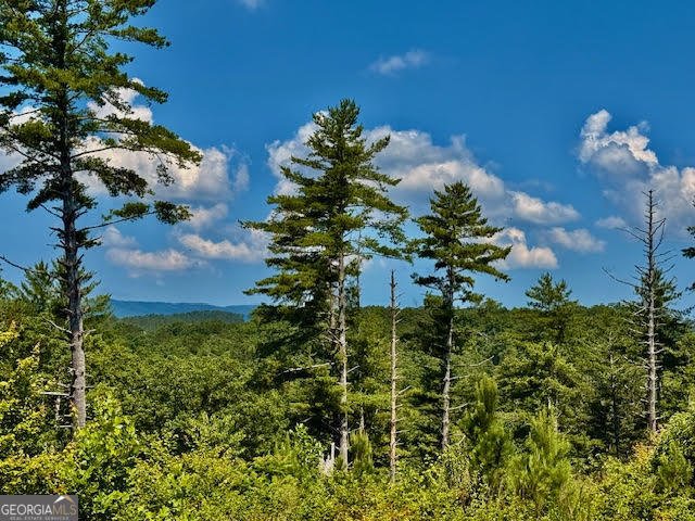 39 Mountaintown Overlook Ellijay - 41
