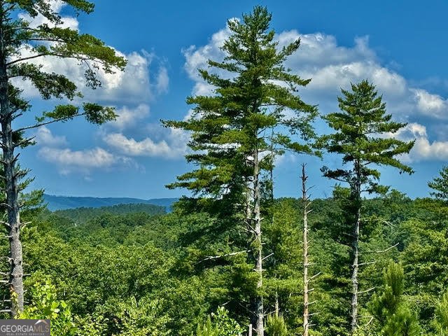 39 Mountaintown Overlook Ellijay - 42