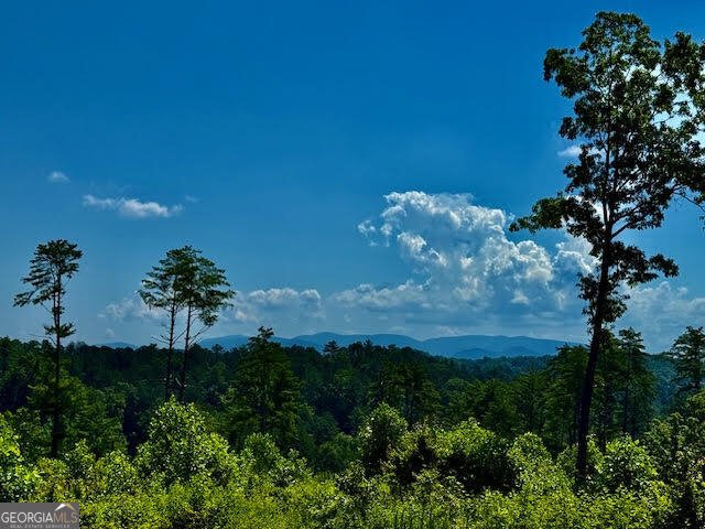 39 Mountaintown Overlook Ellijay - 48