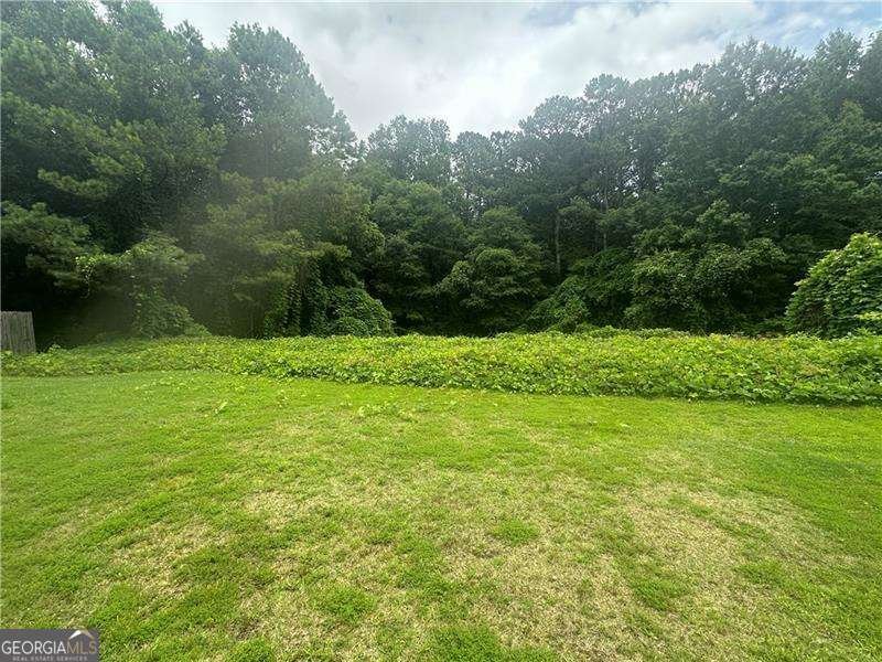 443 Strawberry Walk Loganville - 26