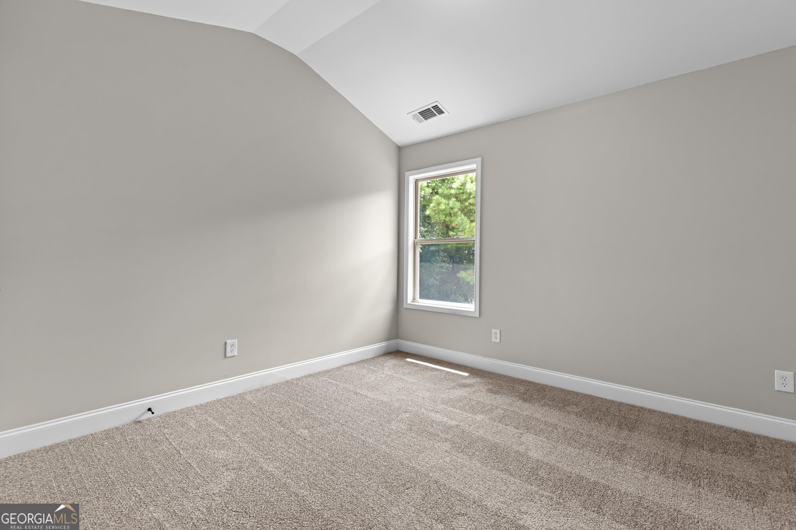 443 Strawberry Walk Loganville - 31