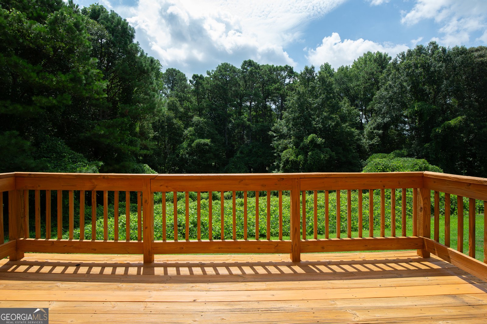 443 Strawberry Walk Loganville - 35