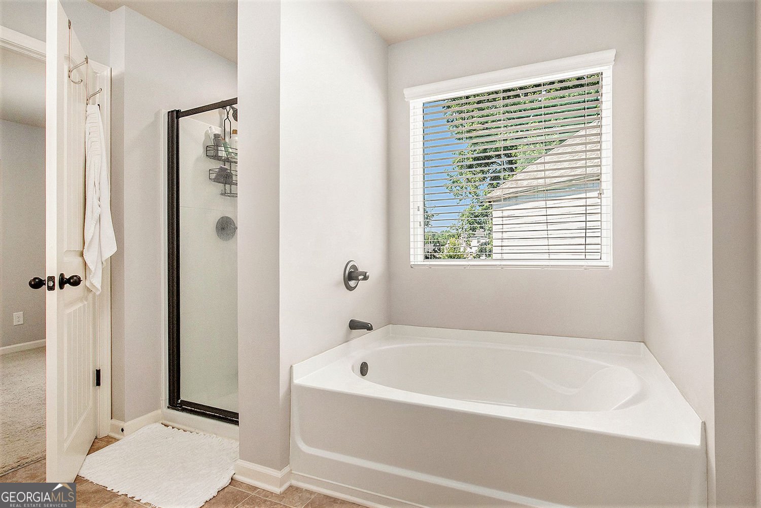 1329 Old Glory Court Hoschton - 19