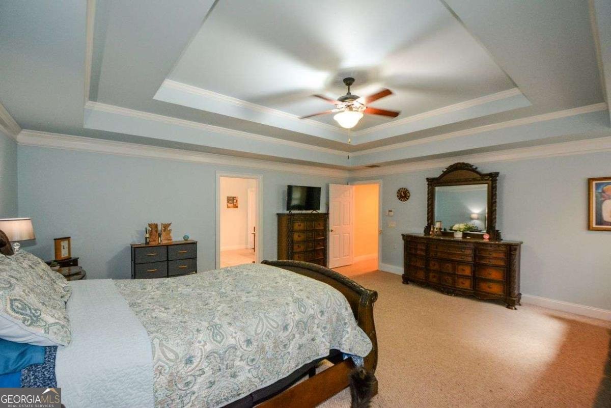 3423 MULBERRY LANE Court Dacula - 19