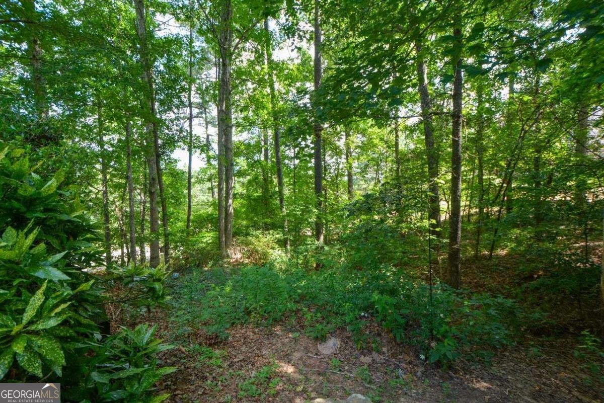 3423 MULBERRY LANE Court Dacula - 49