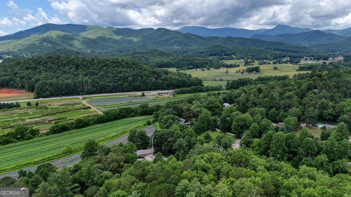 988 Yorkhouse Road Rabun Gap - 6