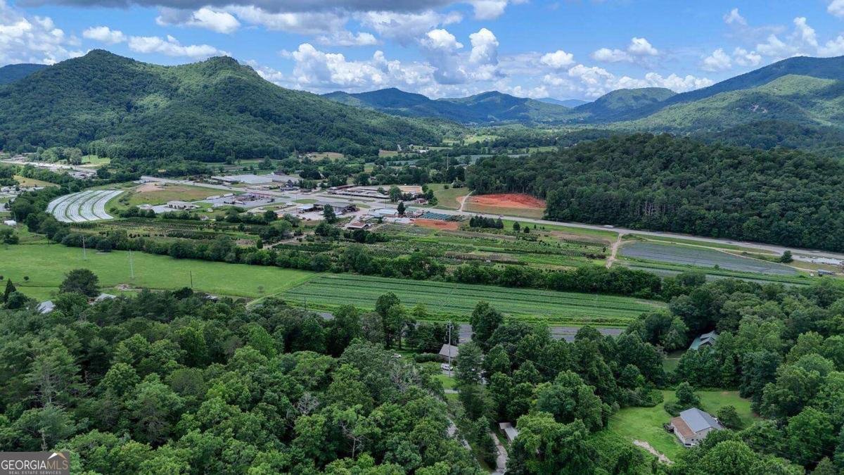 988 Yorkhouse Road Rabun Gap - 7