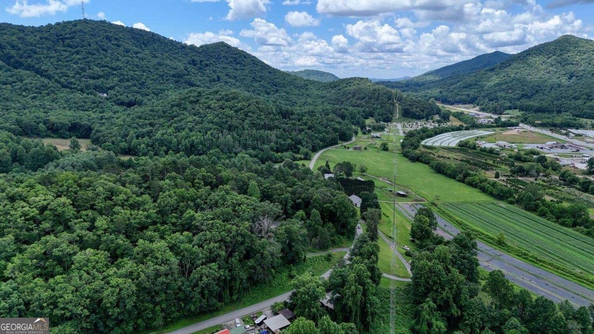 988 Yorkhouse Road Rabun Gap - 8