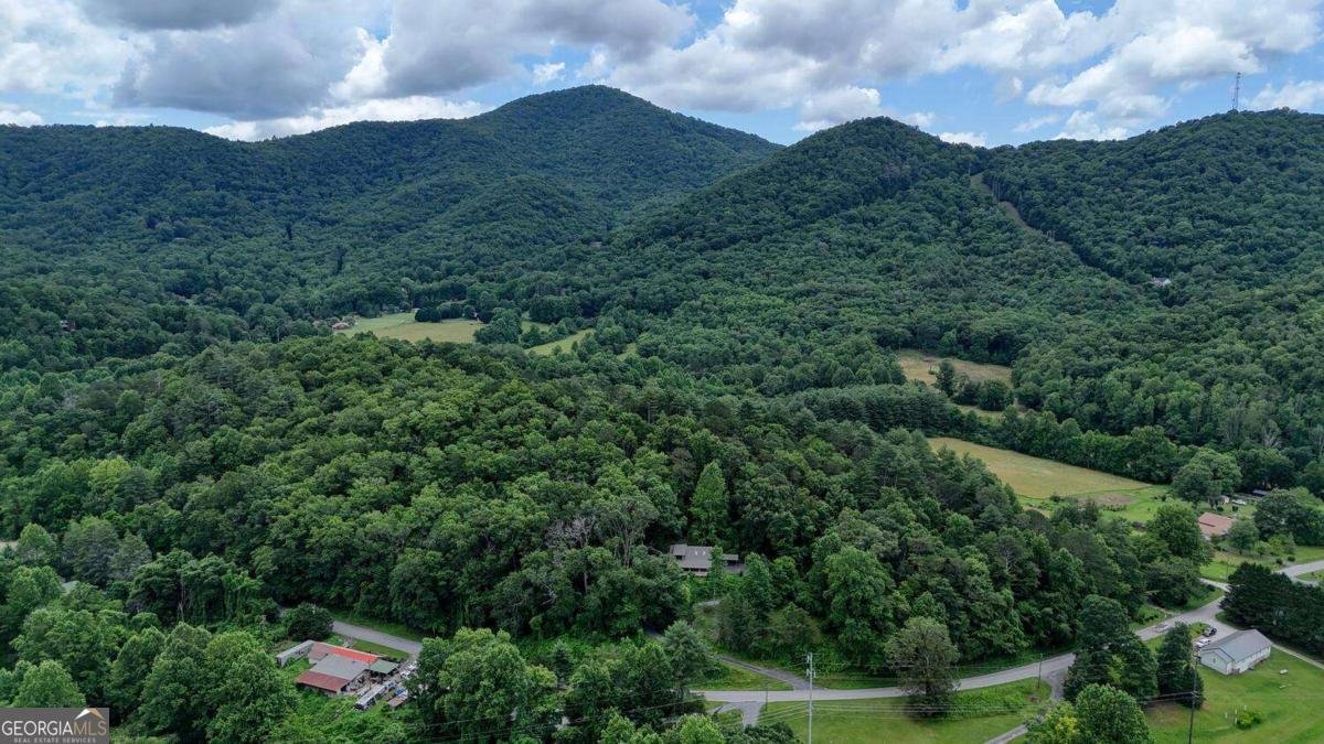 988 Yorkhouse Road Rabun Gap - 9