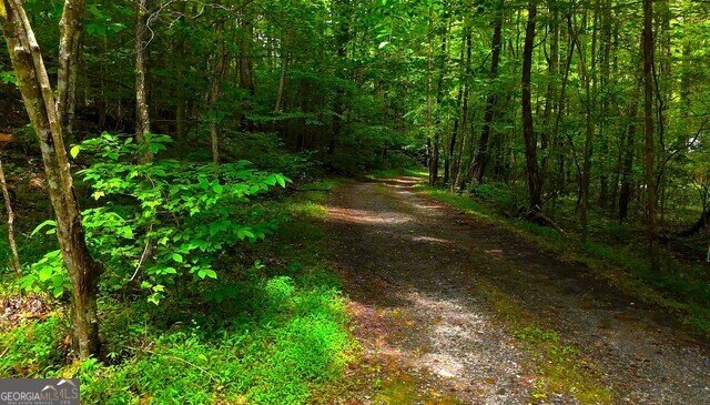 0 0 Nocona Trail Ellijay - 33