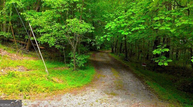 0 0 Nocona Trail Ellijay - 34