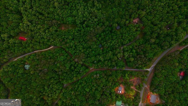 0 0 Nocona Trail Ellijay - 35