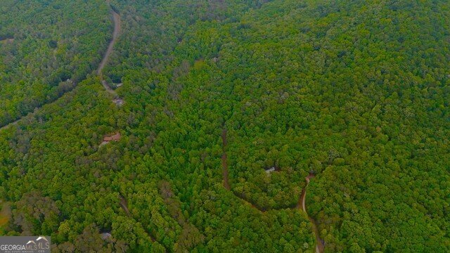 0 0 Nocona Trail Ellijay - 36