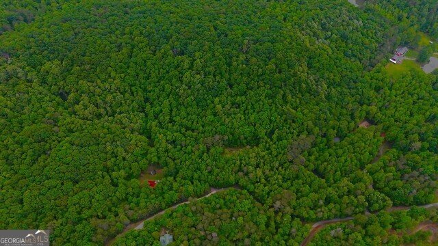0 0 Nocona Trail Ellijay - 38
