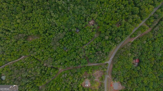 0 0 Nocona Trail Ellijay - 39