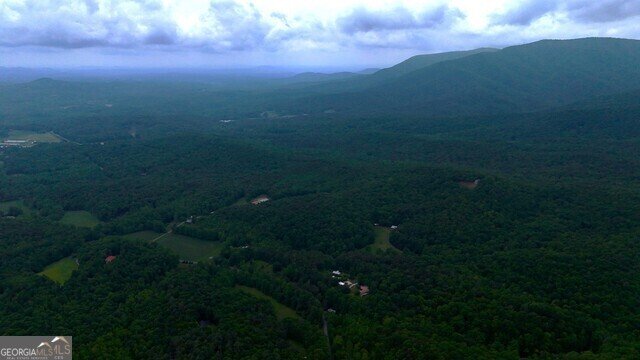 0 0 Nocona Trail Ellijay - 40
