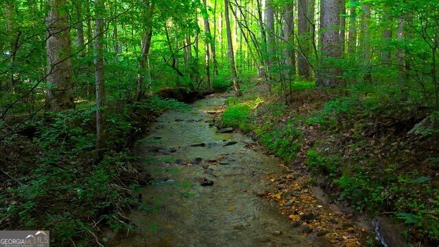 0 0 Nocona Trail Ellijay - 41