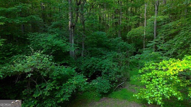 0 0 Nocona Trail Ellijay - 42