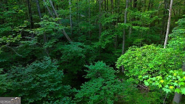 0 0 Nocona Trail Ellijay - 43