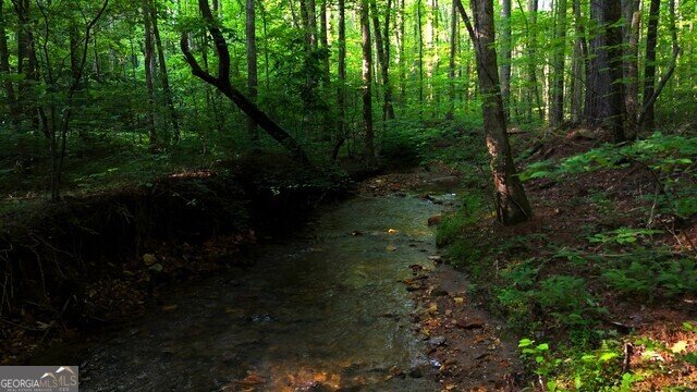 0 0 Nocona Trail Ellijay - 44