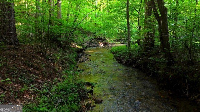 0 0 Nocona Trail Ellijay - 45