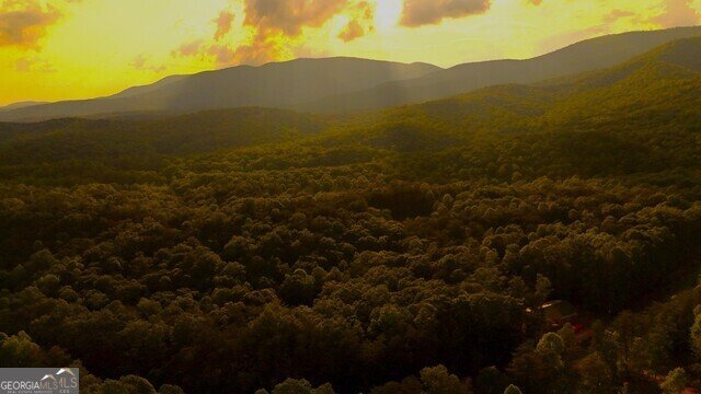 0 0 Nocona Trail Ellijay - 46