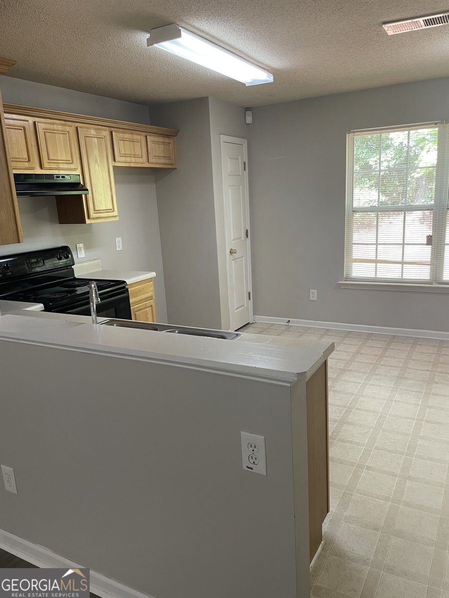 645 Stadler Pointe McDonough - 4
