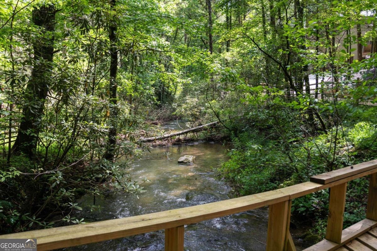 10323 Grassy Mountain Road Ellijay - 27