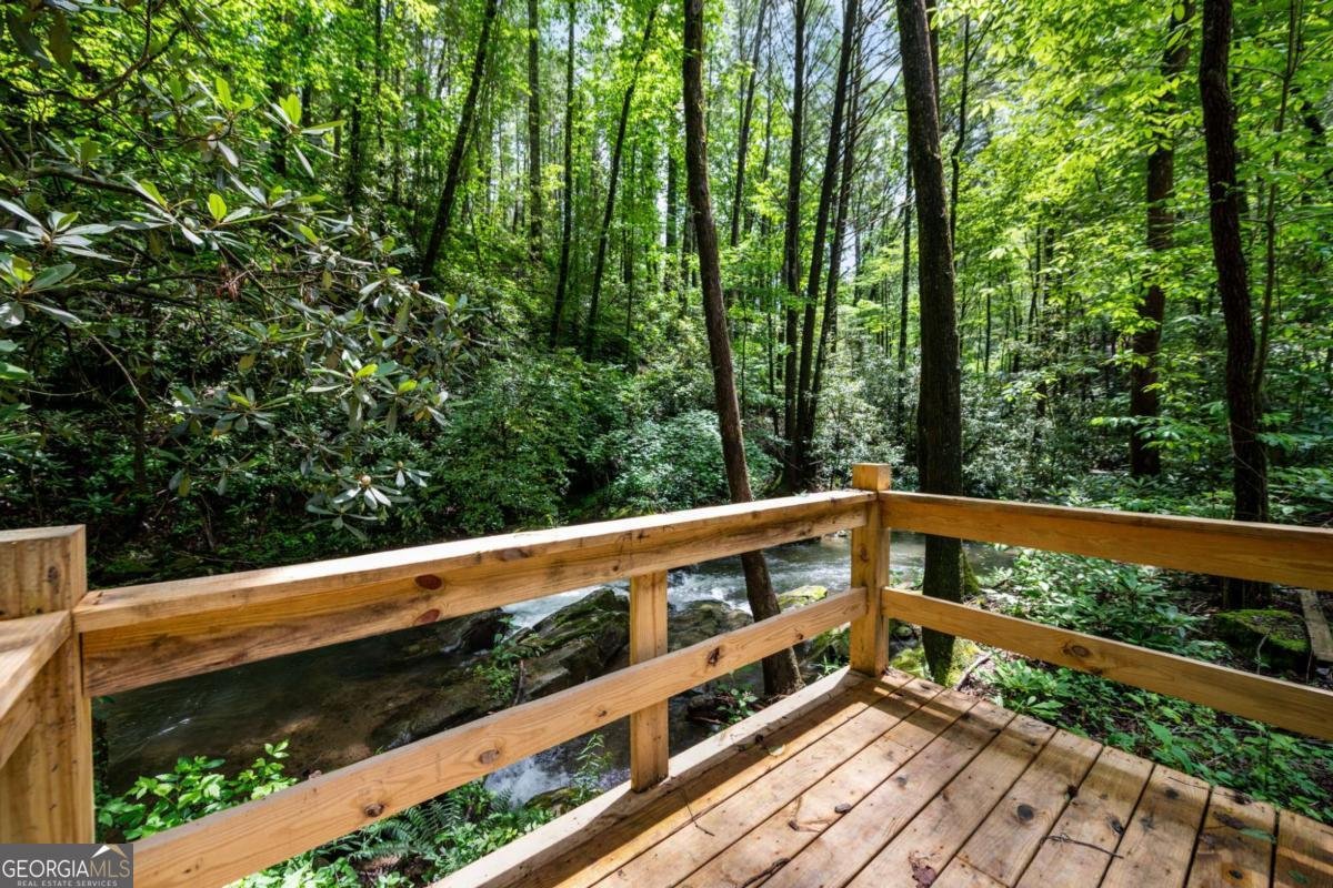 10323 Grassy Mountain Road Ellijay - 28