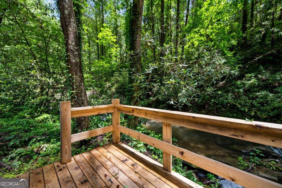 10323 Grassy Mountain Road Ellijay - 29