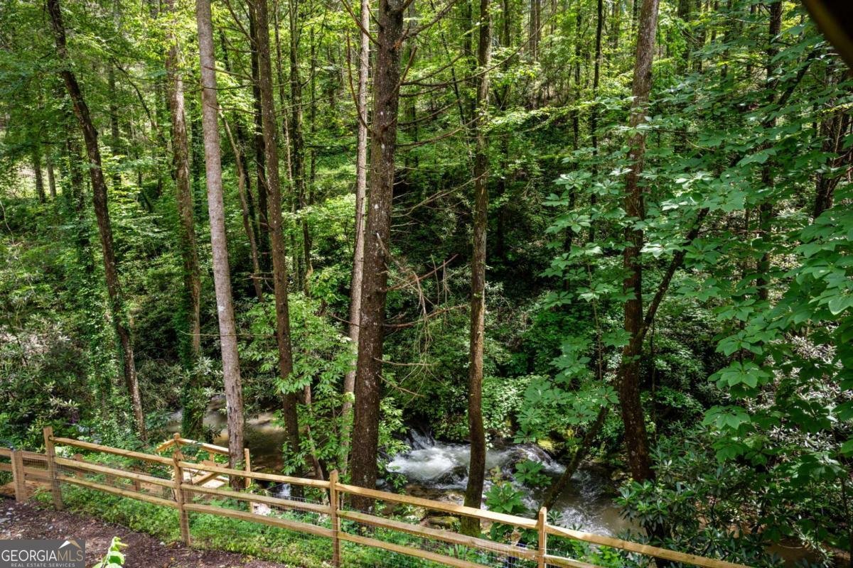 10323 Grassy Mountain Road Ellijay - 32
