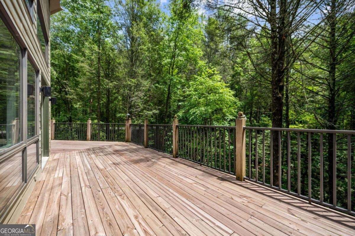 10323 Grassy Mountain Road Ellijay - 34