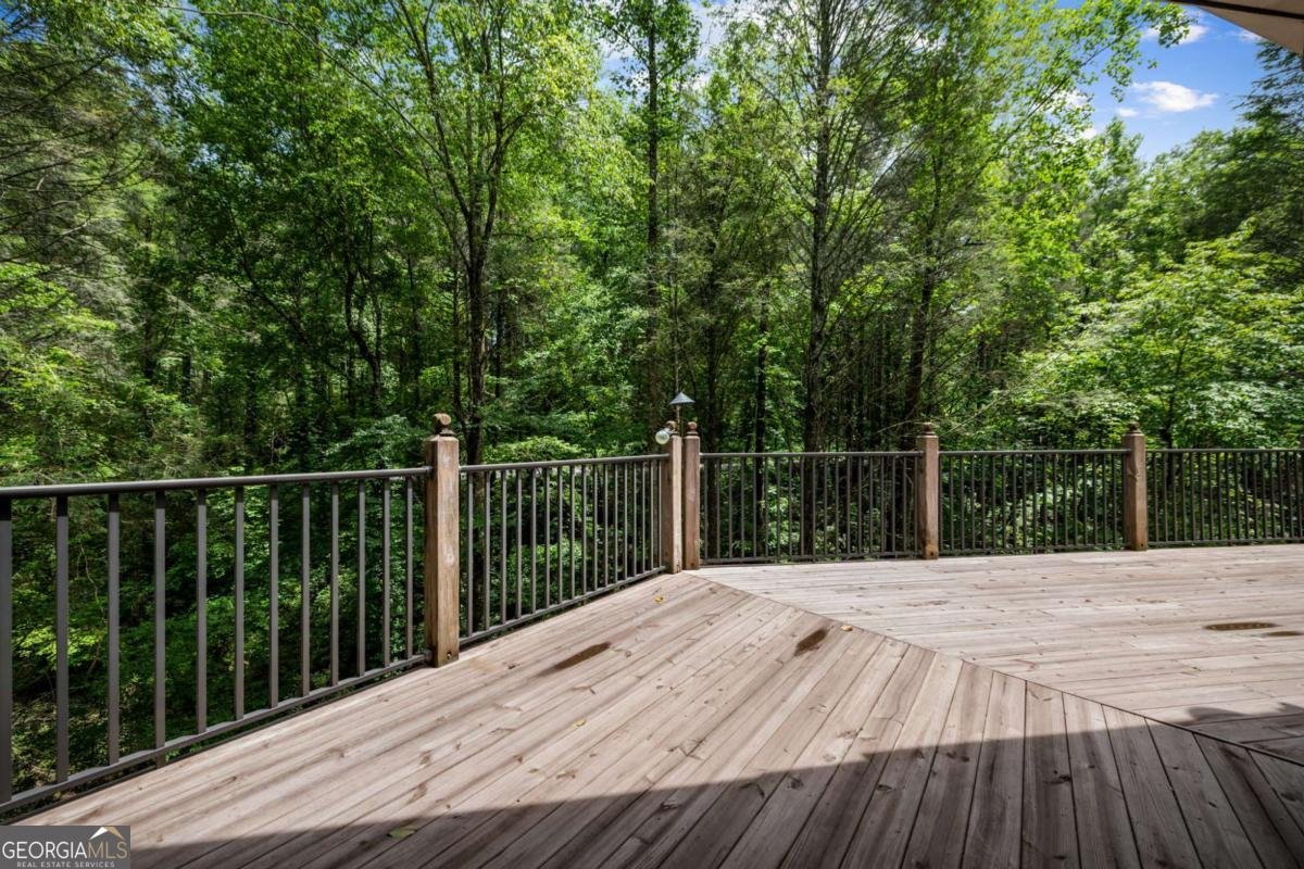 10323 Grassy Mountain Road Ellijay - 36