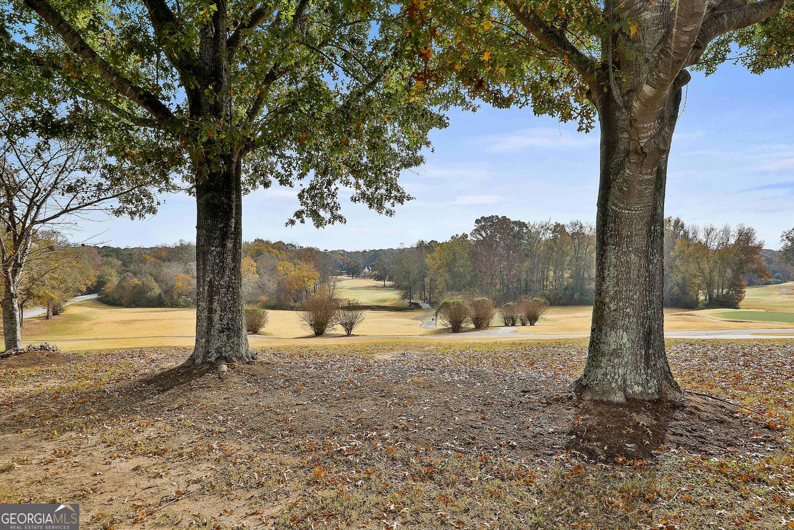 140 Silvermere Fayetteville - 80
