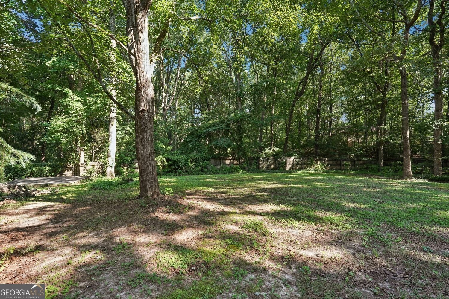 205 Pine Lake Drive Cumming - 28