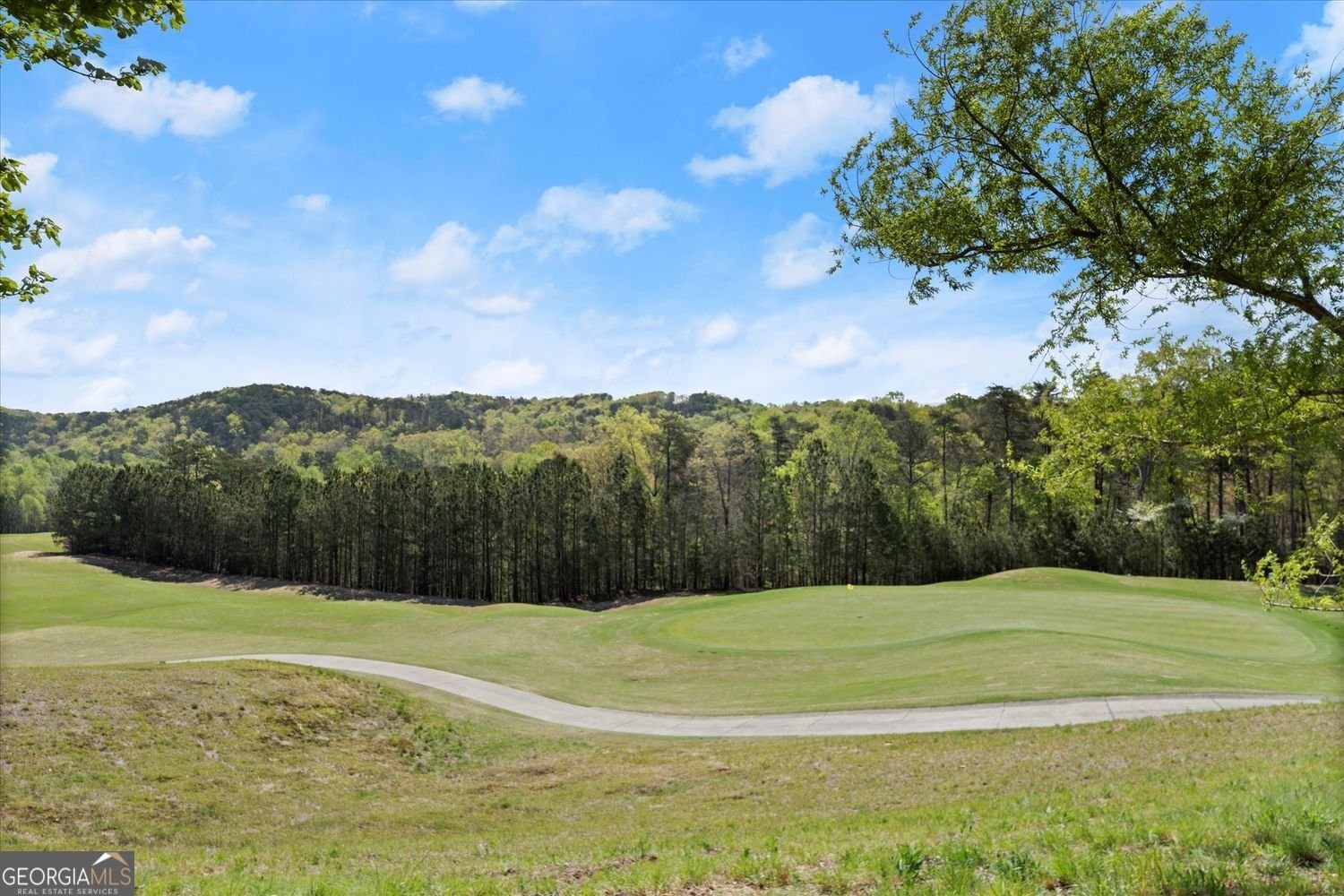 270 Lakewood Drive Drive Waleska - 50