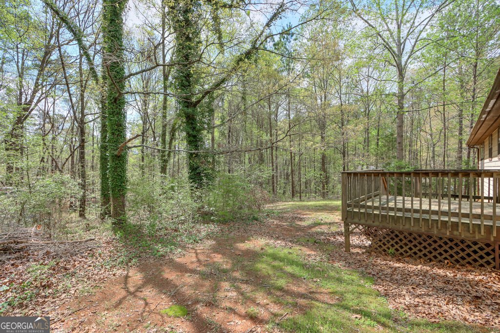 798 Tommy Lee Cook Road Palmetto - 29